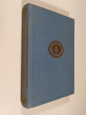 Agnes Sapper : Soittajapoika