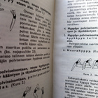 Telinevoimistelun opas II Nojapuut, renkaat, hypyt - pikkukuva 4