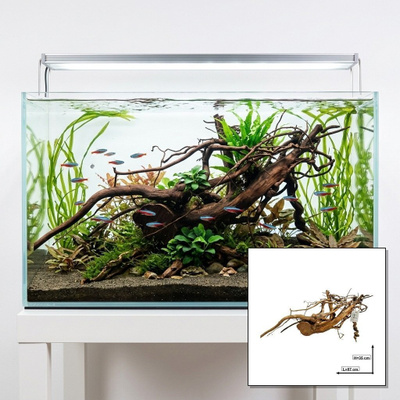 Uniikki akvaariojuurakko 57 cm | nr1AA