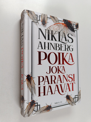 Niklas Ahnberg : Poika joka paransi haavat