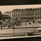 Kotka - pikkukuva 1