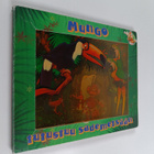 Mungo tutustuu sademetsään - pikkukuva 1