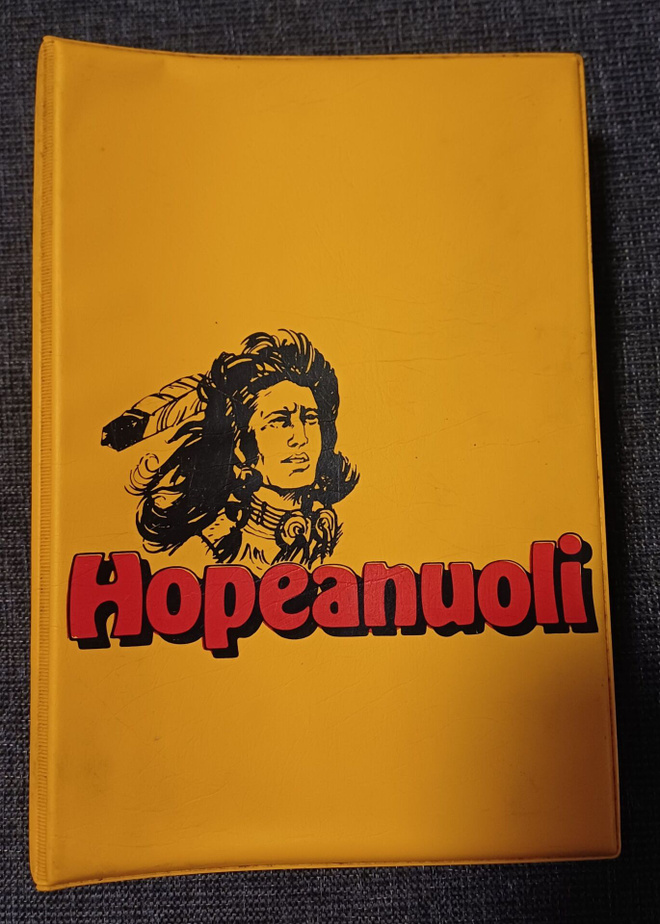 Hopeanuolikansio, jossa 12 kpl hopeanuoli lehteä.