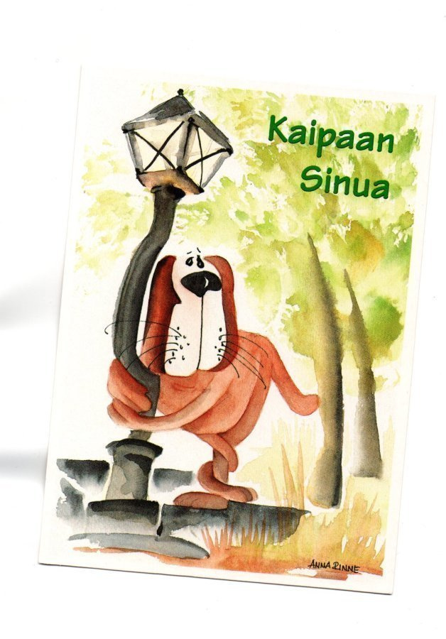 "°KAIPAAN SINUA°" -KORTTI /Anna Rinne