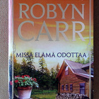 Robyn Carr:   Valoa vuorten takaa Lumen sataessa - pikkukuva 1