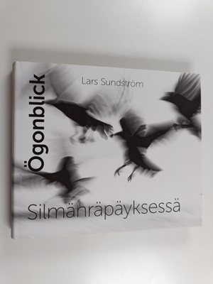 Lars Sundström : Ögonblick = Silmänräpäyksessä