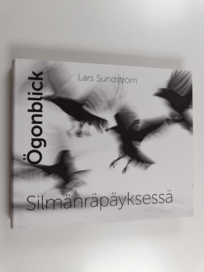 Lars Sundström : Ögonblick = Silmänräpäyksessä