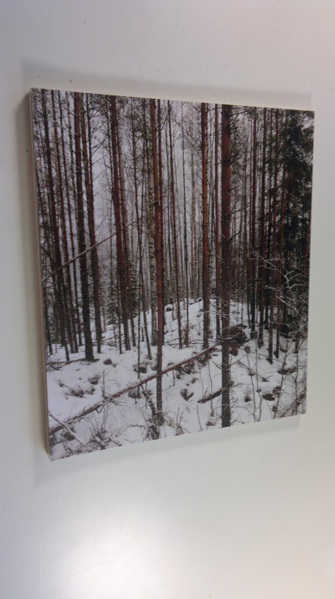 Jusa Peltoniemi : Hylyt