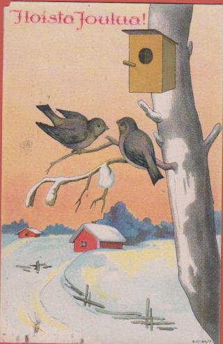 Linnunpönttö ja linnut , talot taustalla - vanha kortti