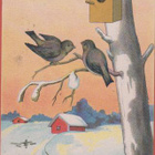 Linnunpönttö ja linnut , talot taustalla - vanha kortti - pikkukuva 1