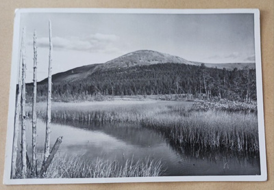 Yllästunturi, Kellostapuli, vanha vkpk, p. 1955