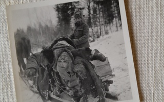 sotavalokuva krimi ruumiskuljetusta