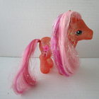My Little Pony G3, Secret Wish - pikkukuva 1