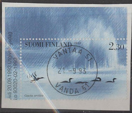 1993 vesilintuja kuikka   loisto