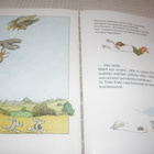 Janosch Uskomaton unikeko - pikkukuva 4