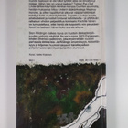 Sten Wilding : Valkea rouva - pikkukuva 2