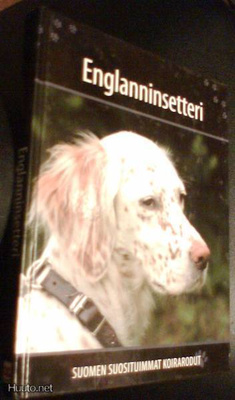 ENGLANNINSETTERI (Suomen suosituimmat koirarodut)