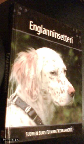 ENGLANNINSETTERI (Suomen suosituimmat koirarodut)