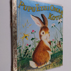 Margaret Wise Brown : Pupu etsii omaa kotia - pikkukuva 1
