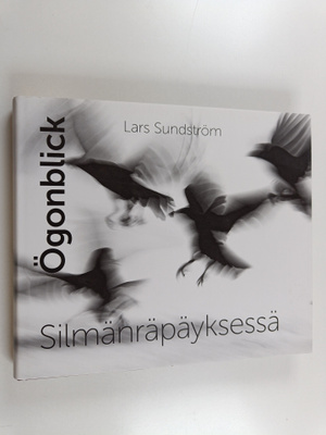 Lars Sundström : Ögonblick = Silmänräpäyksessä