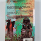 David Eddings : Belgarionin taru 2 : Ennustusten aika - pikkukuva 2
