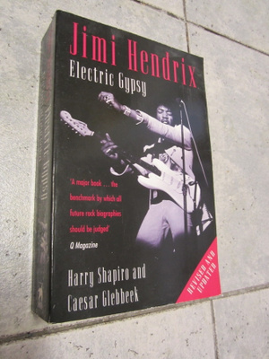 Jimi Hendrix Electric Gypsy by Harry Shapiro and Caesar Gleb
