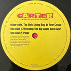 [12''] CARTER THE UNSTOPPABLE SEX MACHINE: THE ONLY LIVING - pikkukuva 4