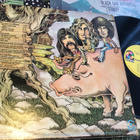 Black Oak Arkansas High on The hog Lp 1973 - pikkukuva 3