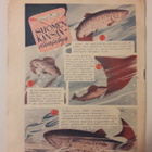Lipas -lehti vuodelta 1954 - pikkukuva 2