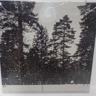 SEREMONIA - KRISTALLIARKKI UUSI SUOMI 2015 LP - pikkukuva 2