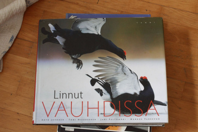 Varesvuo Juvonen Linnut vauhdissa Y1