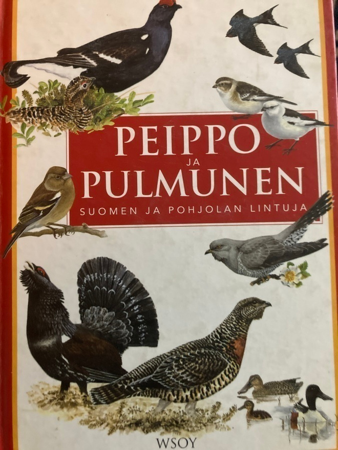 PEIPPO JA PULMUNEN - SUOMEN JA POHJOLAN LINTUJA