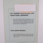 Ornis Fennica Vol. 46 No 4/1969 - pikkukuva 2