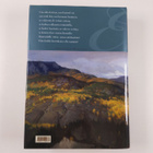 Eino Leino : Jumalien keinu : valikoima runoja - pikkukuva 2