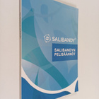 Salibandyn säännöt - pikkukuva 1