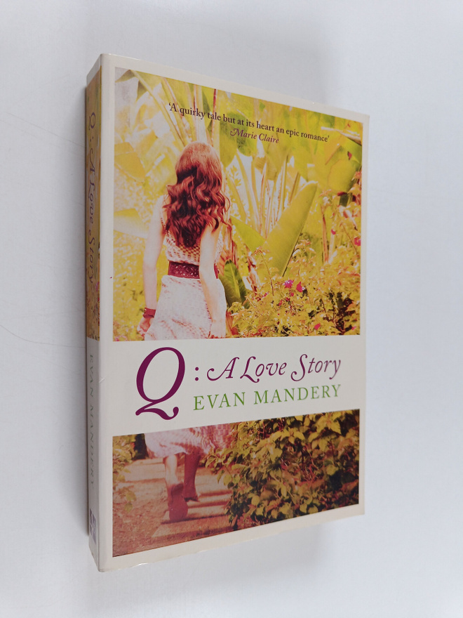 Evan Mandery : Q : a love story