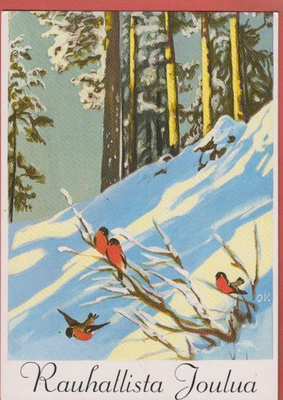 O Vikainen Lintuja talvimaisemassa