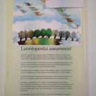 Suomen luonto 6/1992 - pikkukuva 2