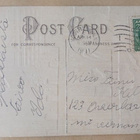 Kukko ja kanat pihalla aidan sivussa, p. 1911 USA:ssa - pikkukuva 2