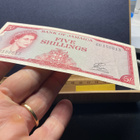 Bank of Jamaica, Five Shillings - pikkukuva 3