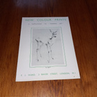 New Colour Prints - a supplement to "Modern art" - pikkukuva 1