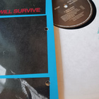 J. Boss Band – I Will Survive 1985 - pikkukuva 2