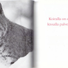 Kissan viikset! - kissamaisia näkemyksiä elämästä (2006) - pikkukuva 3