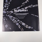 Taide : Julkaisuluettelo - pikkukuva 2