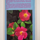 Kotipuutarhurin vuosikalenteri 1988 - pikkukuva 2