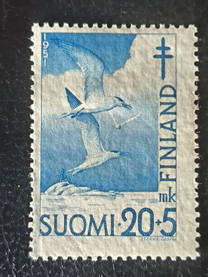 TUB-51