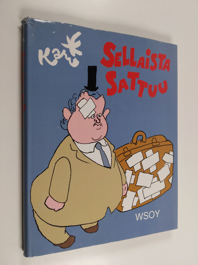 Kari : Sellaista sattuu