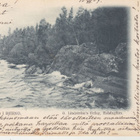 Numeroleima 875 Bjernö (perniö) kortilla - pikkukuva 2