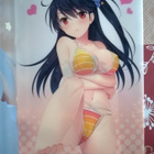 Anime Kansio - pikkukuva 2