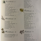 Isoäidin puutarhavuosi - Savikko Sari - pikkukuva 3